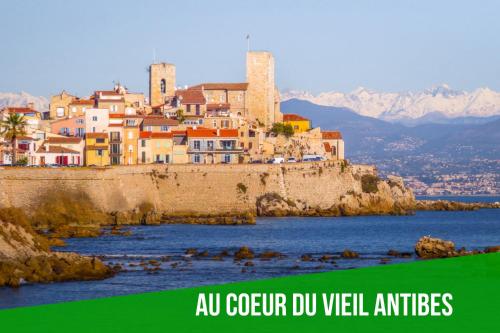 Le Cosy Safranier Vieil Antibes photo 16