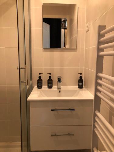 une salle de bain avec un lavabo et un miroir dans l'établissement Studio au pied des sentiers, à Villard-de-Lans