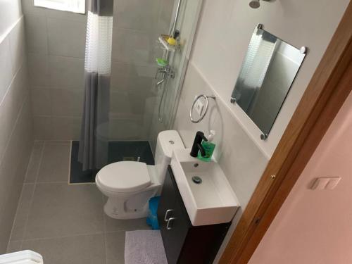 a bathroom with a toilet and a sink and a shower at Casa Tía María in Villanueva de Arosa
