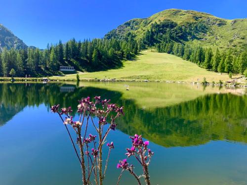 a view of a lake with a mountain in the background at Vesterberg Apartments in Top Lage - Top Lage in Schladming