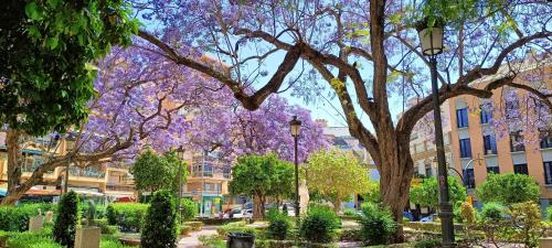 The Secret Oasis Malaga