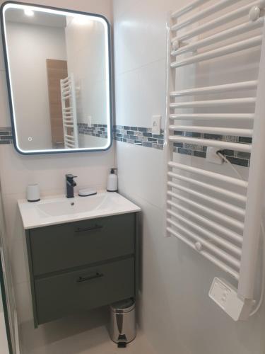 une salle de bain avec un lavabo et un miroir dans l'établissement Studio Carnon bord de plage climatisé, à Carnon-Plage