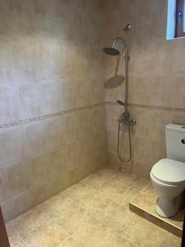 a bathroom with a shower and a toilet at EGGO APARTMENT - Oasis Beach Apartments Kamchia in Dolen Bliznak