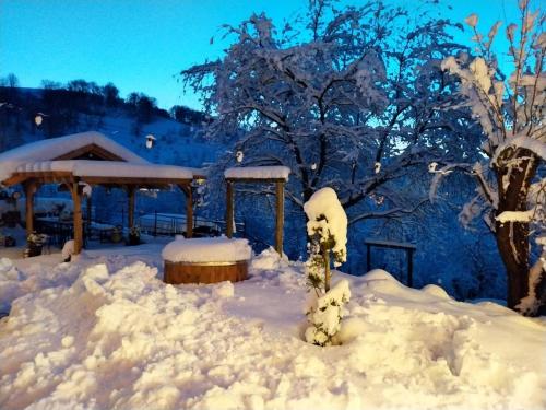 a yard covered in snow with a tree and a gazebo at The Little Blue House in Reşiţa