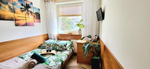 een kamer met 2 bedden in een kamer met een raam bij Kokosek Pokoje Gościnne in Mielno