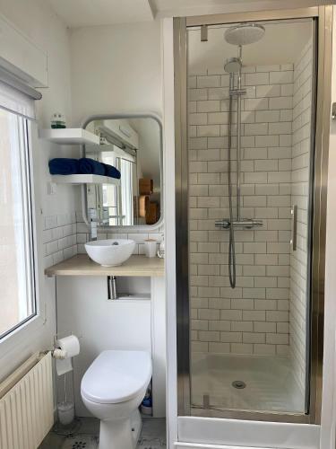 une salle de bain avec une douche avec des toilettes et un lavabo dans l'établissement Le Cocon Urbain, à Rennes