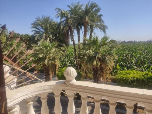 a balcony with palm trees and a view of a cornfield at Julia View in Luxor