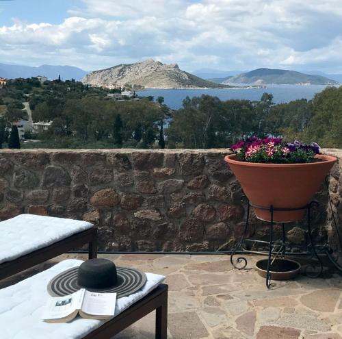 un patio con una maceta de flores en la pared en serenity villa Aegina fantastic view near the beach, en Aegina Town