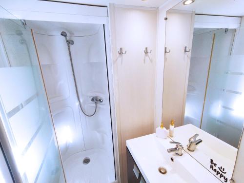 a bathroom with a shower and a sink at Domaine des Iscles in La Roque-dʼAnthéron