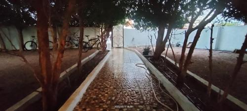uma calçada com árvores ao lado de uma rua em Turtle house em Dahab