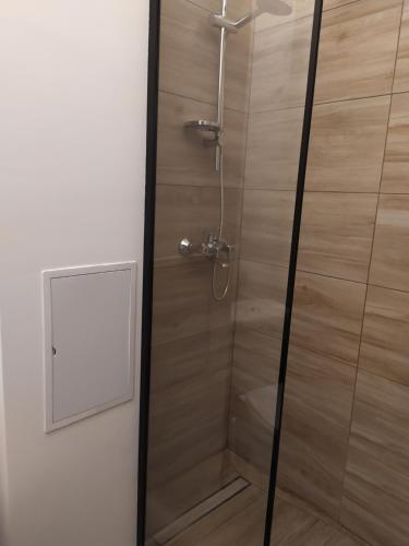 ducha con puerta de cristal y espejo en Good Morning Piaskowa Góra, en Wałbrzych