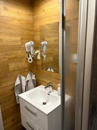 a bathroom with a sink and a mirror at Pension Hönel-Hof Bad Schandau in Bad Schandau