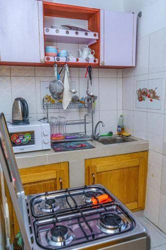 Cuisine ou kitchenette dans l'établissement NAIVELI-PALM Appartement meublé sobre et chic
