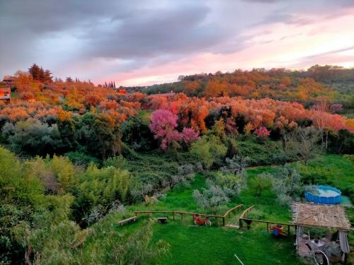 an aerial view of a field with trees with fall foliage at Loft, Il Giardino Sabino in Palombara Sabina