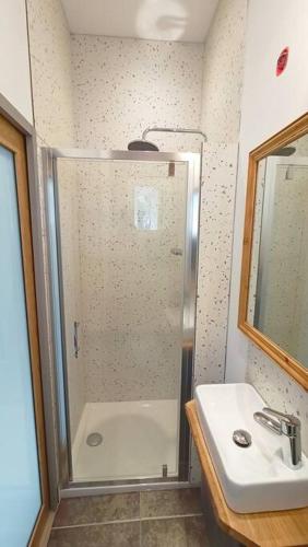 a bathroom with a shower and a sink at Le Raffiné in Millau