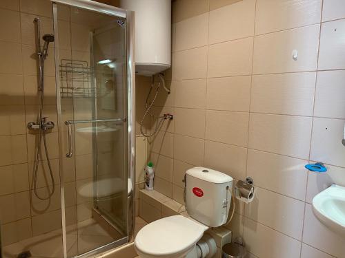 a bathroom with a shower and a toilet and a sink at Apartments in complex Harmony hills in Rogachevo