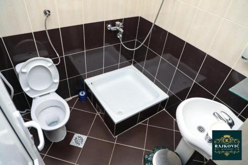 a small bathroom with a toilet and a sink at Apartmani Rajkovic in Soko Banja