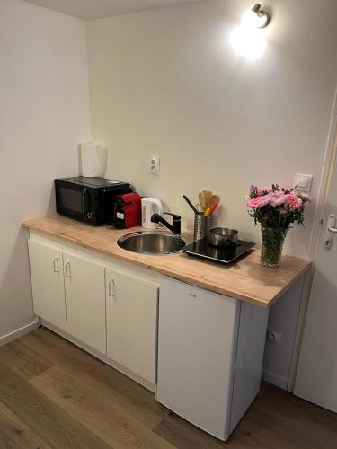 un comptoir de cuisine avec un évier et un micro-ondes dans l'établissement Abrilove, à Castres