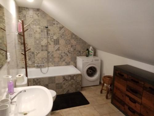 La salle de bains est pourvue d'un lavabo et d'un lave-linge. dans l'établissement Podkrovní apartman Tereza, à Rumburk