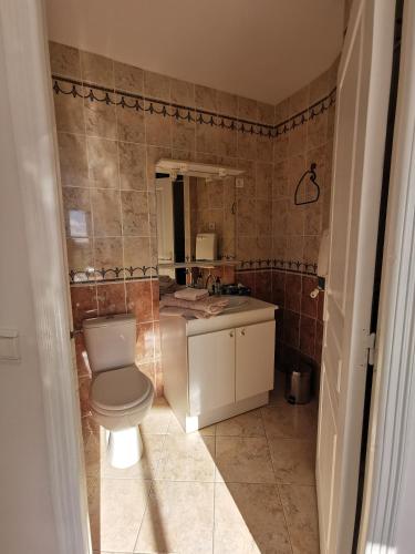 a bathroom with a toilet and a sink at La Chambre du Saunei in Castelnau-de-Guers