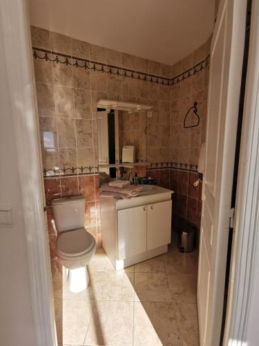 une salle de bain avec toilettes et lavabo dans l'établissement La Chambre du Saunei, à Castelnau-de-Guers