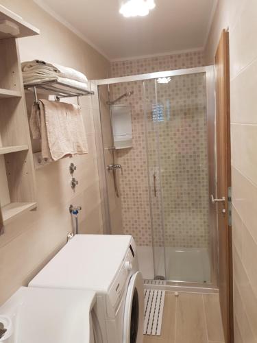 Koupelna v ubytování House Niva