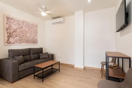 Apartamentos Cervantes 17 photo 51