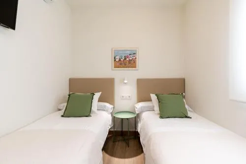 Apartamentos Cervantes 17 photo 48