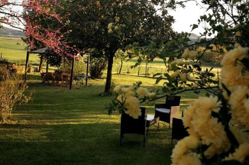 a table and chairs in a field with white flowers at CLAUDIA VACANZA TOSCANA - Appartamento Melograno -10 min da Siena in Sovicille