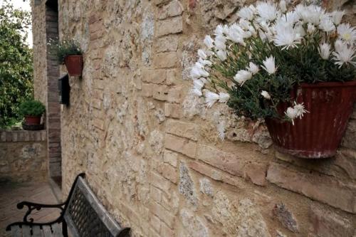 a bench sitting next to a stone wall with a potted plant at CLAUDIA VACANZA TOSCANA - Appartamento Melograno -10 min da Siena in Sovicille