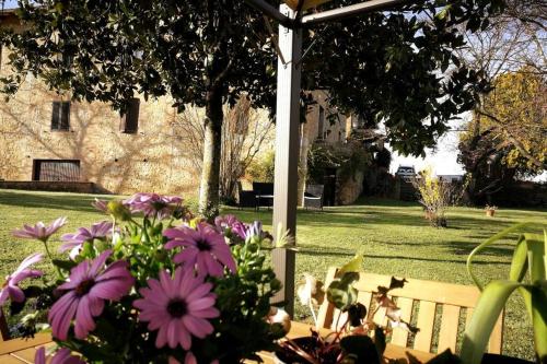 a group of flowers sitting next to a bench at CLAUDIA VACANZA TOSCANA - Appartamento Melograno -10 min da Siena in Sovicille