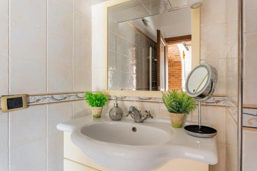 baño con lavabo con espejo y plantas en Le Volte ( Matrimoniale esclusiva più divani letto), en Gambassi Terme
