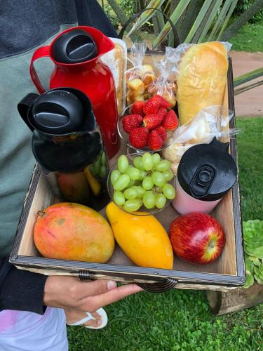 a person holding a tray of fruits and vegetables at Pousada Irmãos Tonoli in Venda Nova do Imigrante