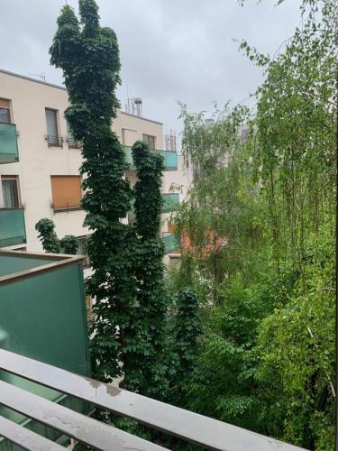 ein mit Efeu bedeckter Baum vor einem Gebäude in der Unterkunft Corvin Fontana Apartment in Budapest