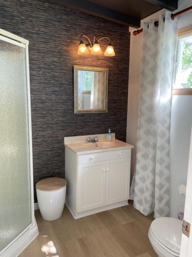 a bathroom with a sink and a toilet and a mirror at Hôtel-Motel Vagues Vertes in Perce