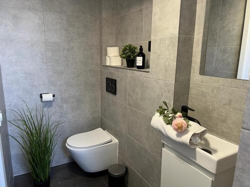 a bathroom with a toilet and a sink at Strandhaus JP in Maasholm