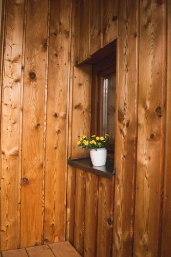 a wooden wall with a window and a pot of flowers on a shelf at Naturnahes Familienchalet mit Garten - Wifi - Netflix - nur 15 Minuten vom Chiemsee und 35 Minuten von München entfernt in Vogtareuth