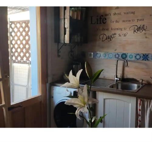 uma cozinha com um lavatório e um balcão com uma flor em Casita Mona y Acogedora em Alaquas