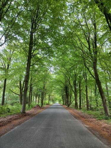 Paesaggio naturale nelle vicinanze della casa vacanze