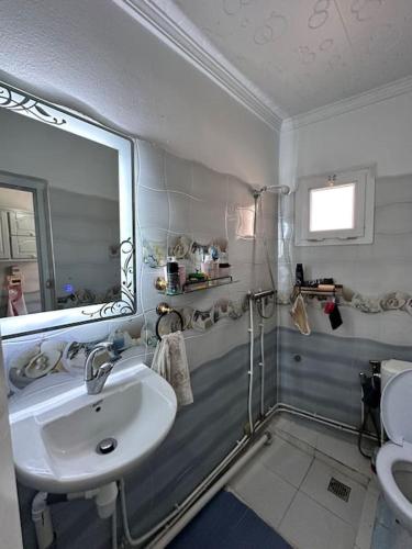 y baño con lavabo, espejo y ducha. en Charmant Appartement vue sur mer en Argel