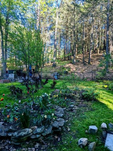 Κήπος έξω από το Spacious Pawtuckaway Getaway