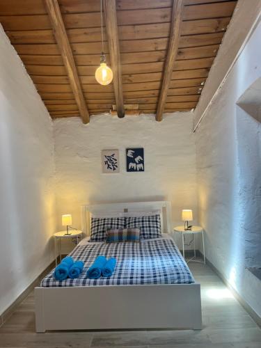 a bedroom with a bed with two blue pillows at Zena Houses-Casa Rural tranquila perto de Mértola in Beja