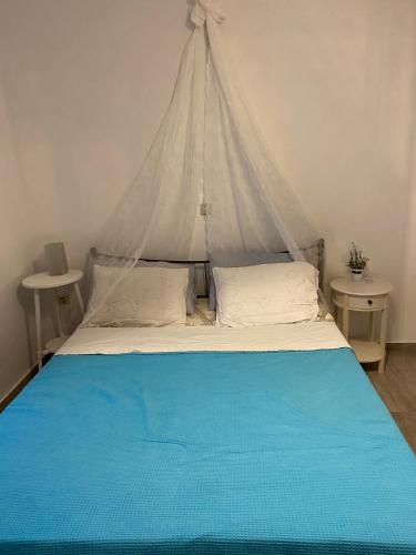a bed with a canopy in a room at Mpasales house in Skiros