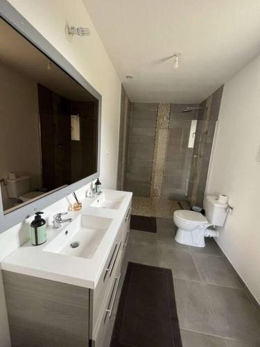 a bathroom with a white sink and a toilet at La maison Dardenne in Villeneuve-sur-Lot