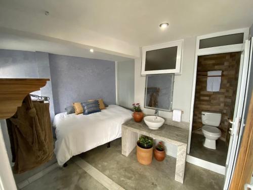 a bedroom with a bed and a sink and a toilet at Monaco in San Pedro La Laguna