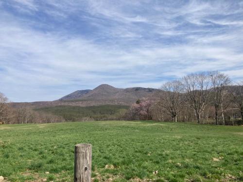 a field of green grass with a mountain in the background at Breath in Earth BandB民泊 戸隠TOGAKUSHI in Nagano