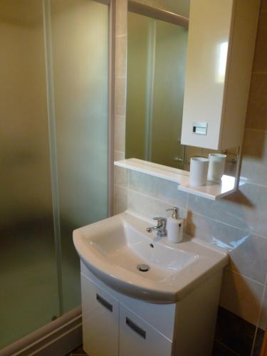 a bathroom with a sink and a shower and a mirror at Apartment Adriatic in Umag