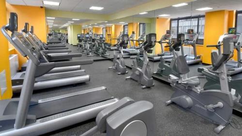 a gym with rows of tread machines at Sunny & Cozy Apt with a Piano in a hot Brooklyn Neighborhood in Brooklyn