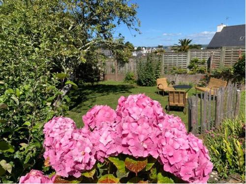 a bunch of pink flowers in a garden at Holiday Home Locquirec by Sandy Beach in Locquirec
