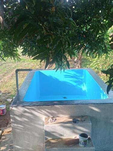 a blue swimming pool sitting next to a tree at SERENE Stays - Kjsb farmhouse THANJAVUR in Thanjāvūr